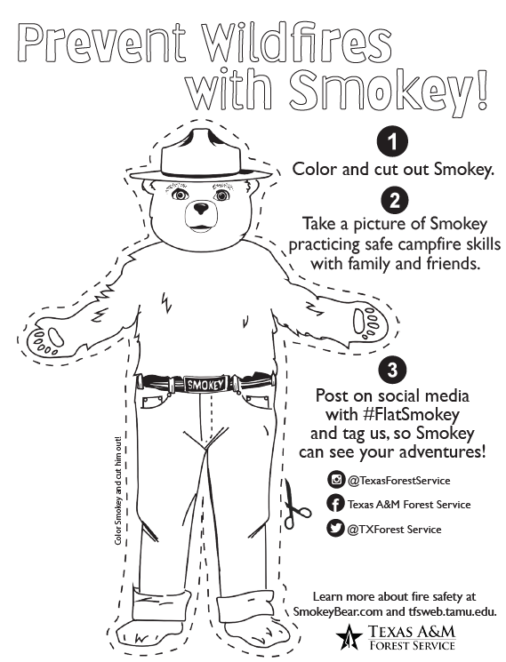 Flat Smokey